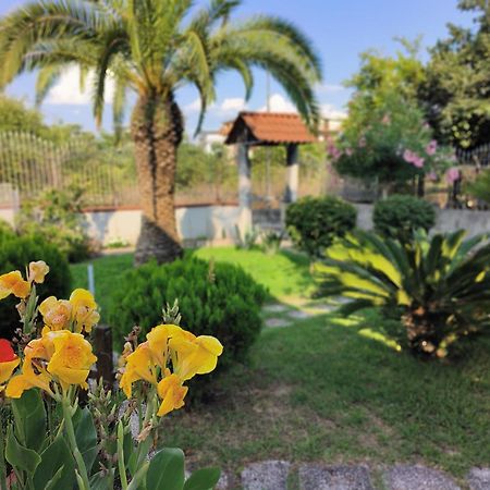 Apartmán I Giardini Di Plinio - Elegante E Luminoso. Boscoreale Exteriér fotografie