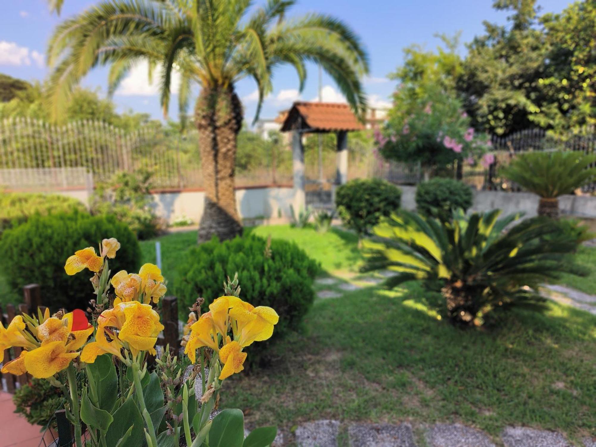 Apartmán I Giardini Di Plinio - Elegante E Luminoso. Boscoreale Exteriér fotografie