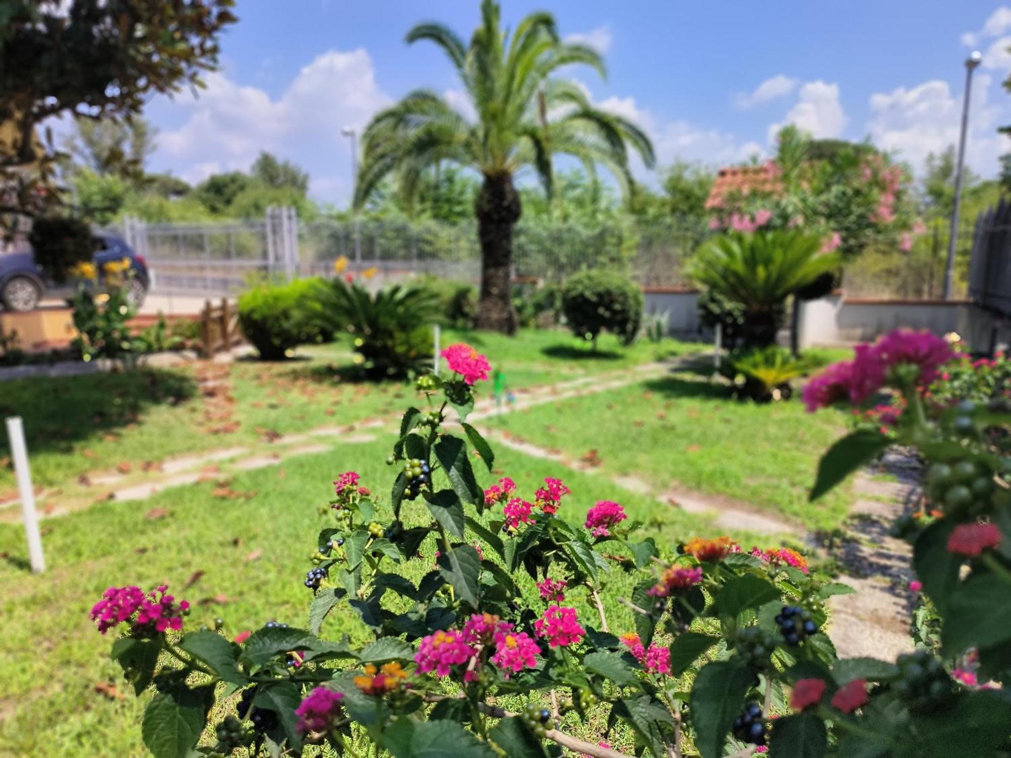 Apartmán I Giardini Di Plinio - Elegante E Luminoso. Boscoreale Exteriér fotografie